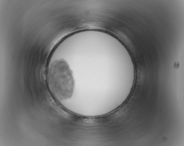 X0000112751182200909101533