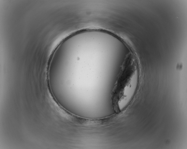 X0000112751183200909101533