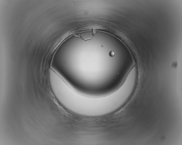 X0000112751185200909101533