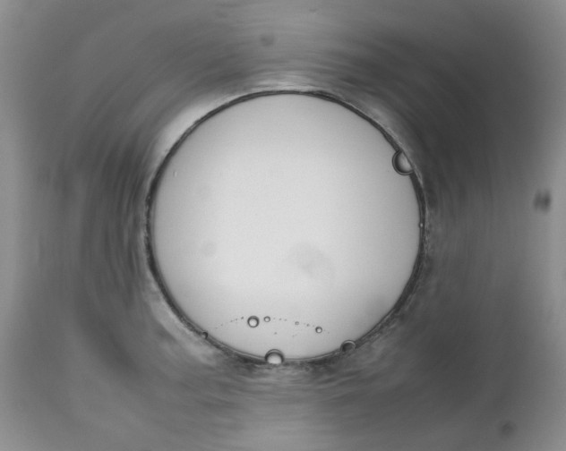 X0000112751187200909101533