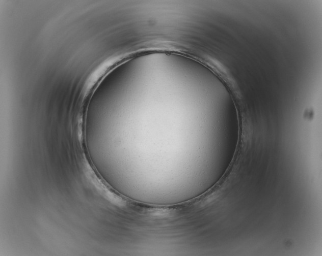 X0000112751188200909101533