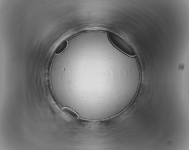 X0000112751189200909101533