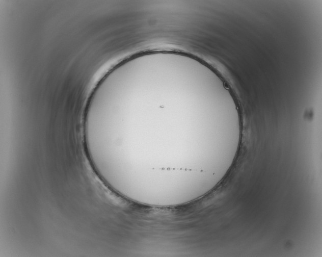 X0000112751191200909101533