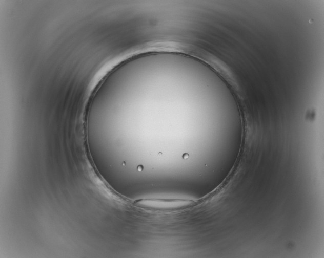 X0000112751192200909101533