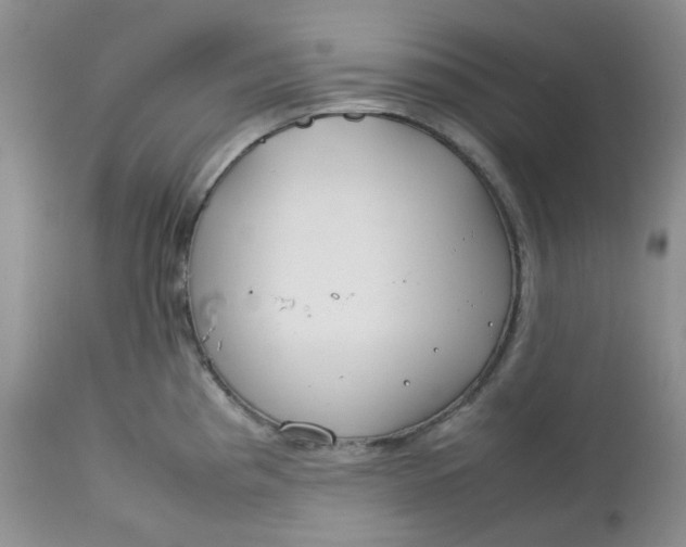 X0000112751193200909101533