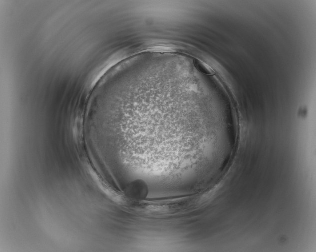 X0000112751194200909101533