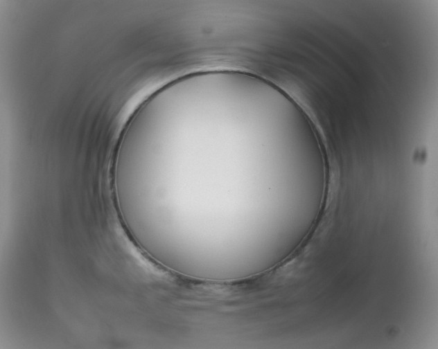 X0000112751197200909101532