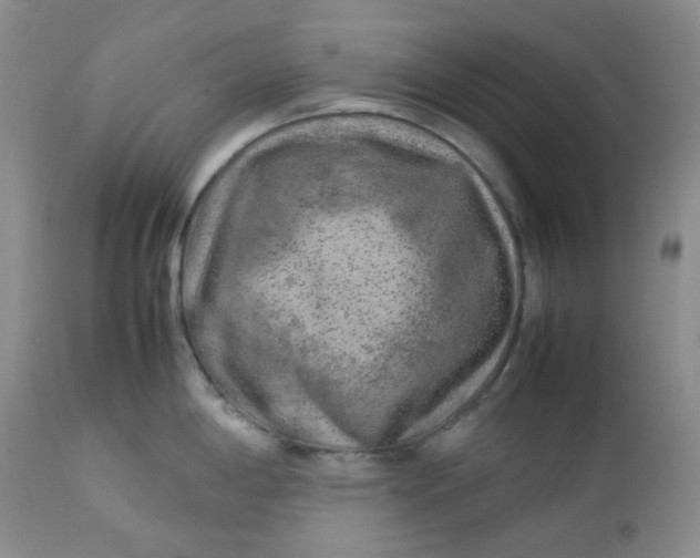 X0000112751198200909101532