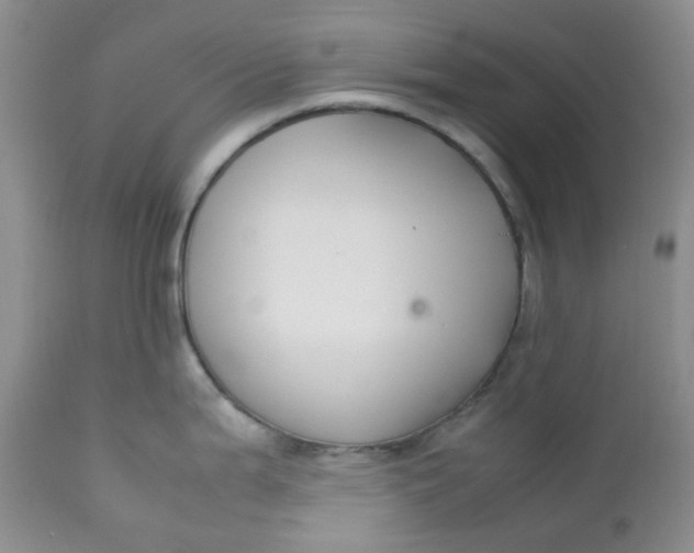 X0000112751199200909101532