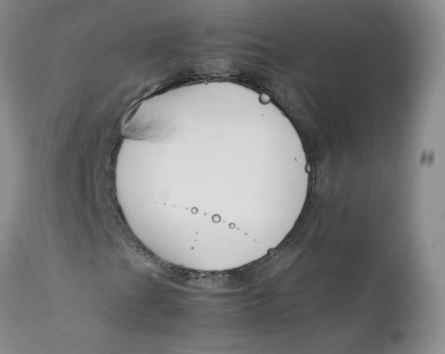 X0000112751201200909101531