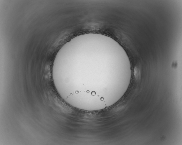 X0000112751203200909101531