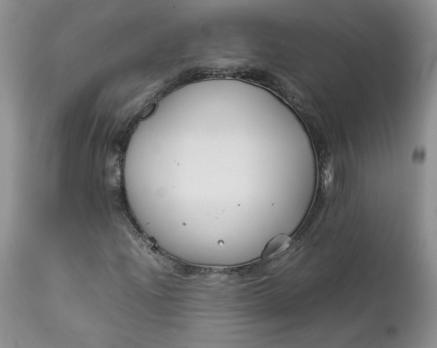 X0000112751204200909101531