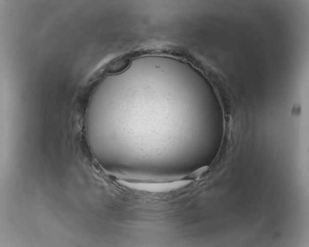 X0000112751206200909101531