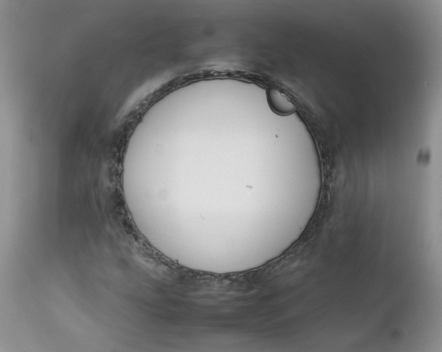 X0000112751207200909101532