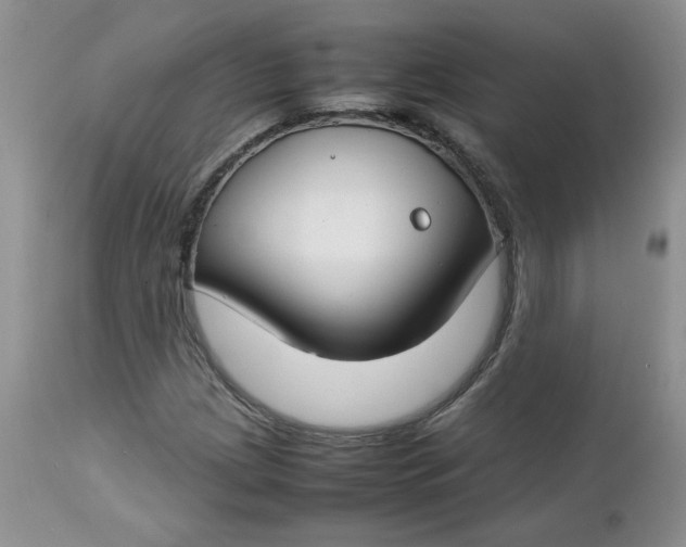 X0000112751209200909101532