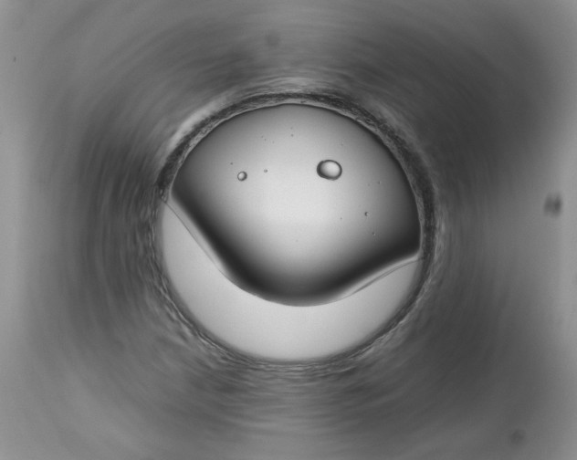 X0000112751210200909101532