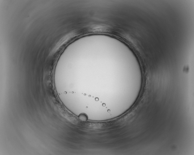 X0000112751211200909101532