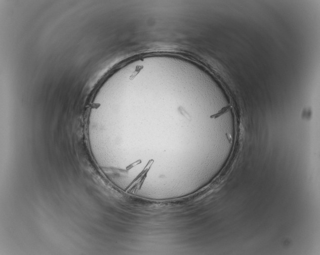 X0000112751212200909101532