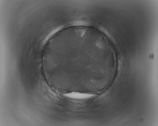 X0000112751213200909101532