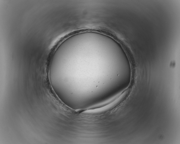 X0000112751214200909101532