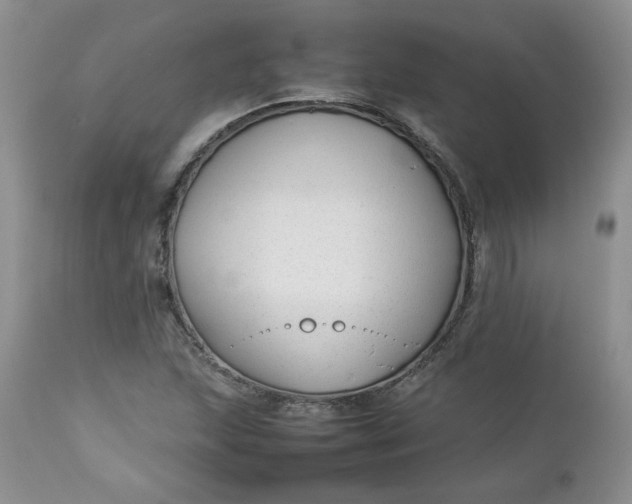 X0000112751215200909101532