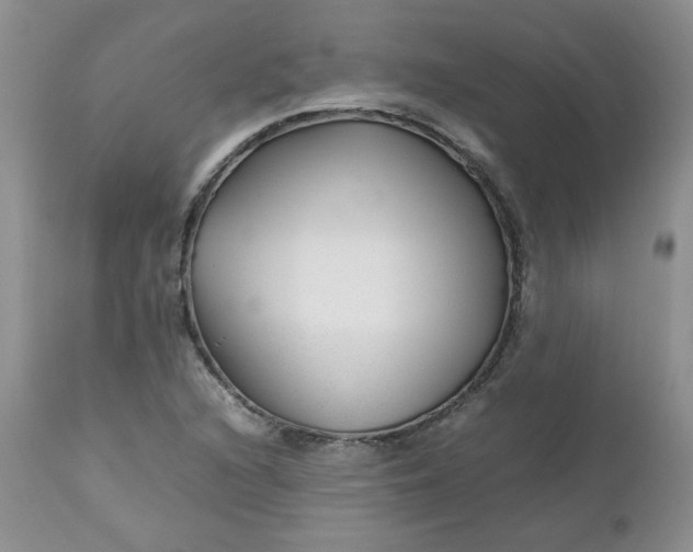 X0000112751216200909101532