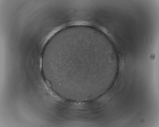 X0000112751221200909101532