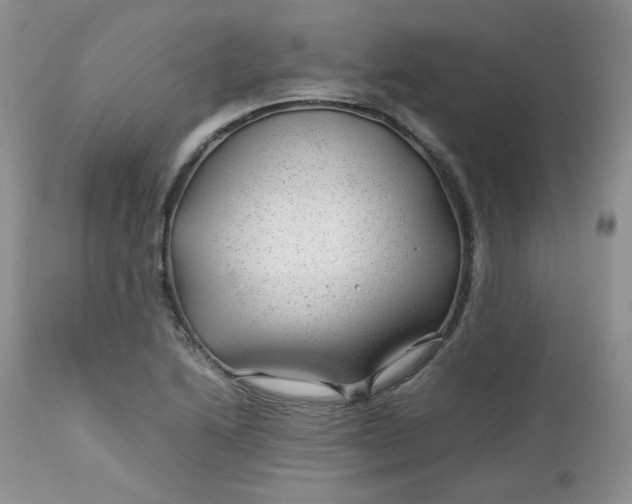 X0000112751222200909101532