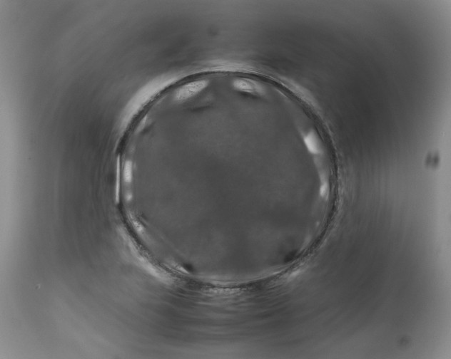 X0000112751223200909101532