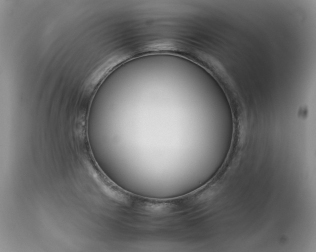 X0000112751225200909101532