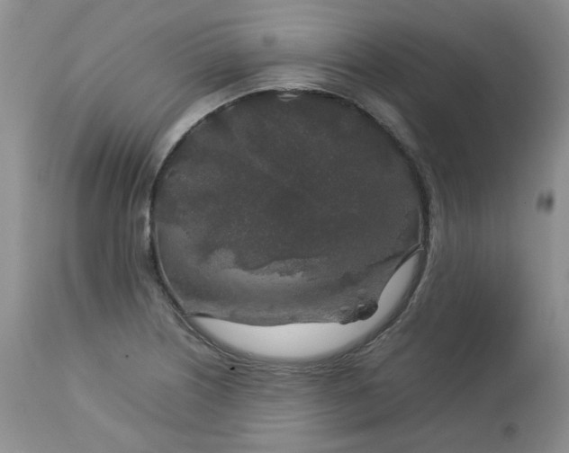 X0000112751226200909101532