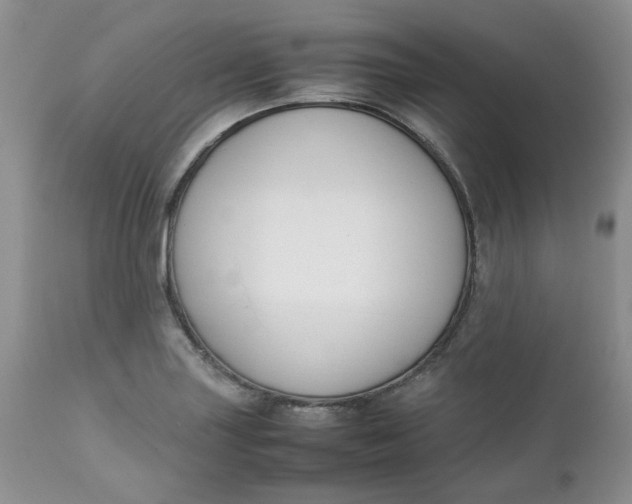 X0000112751227200909101532