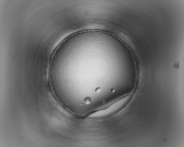 X0000112751228200909101532