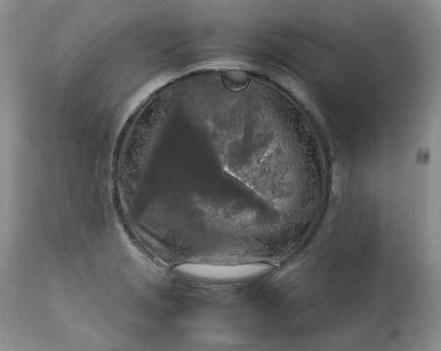 X0000112751229200909101532