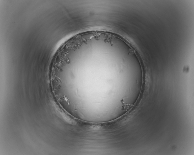 X0000112751230200909101532