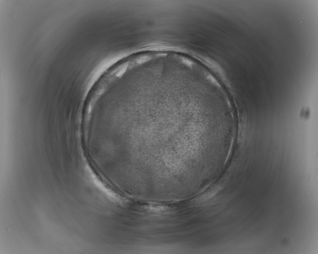 X0000112751231200909101532