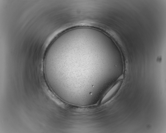 X0000112751232200909101532