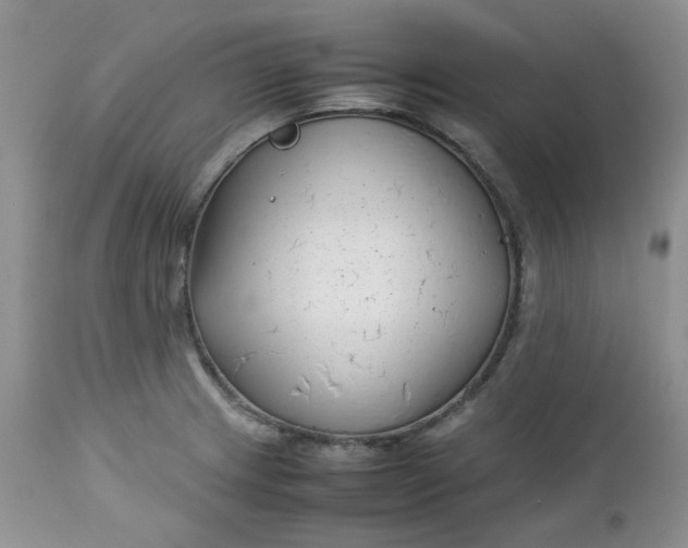 X0000112751233200909101532