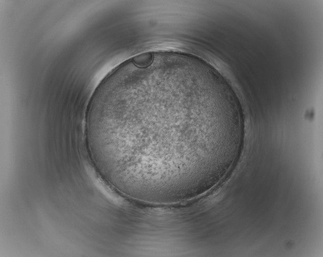 X0000112751234200909101532