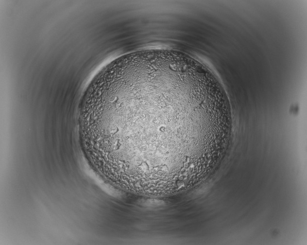 X0000112751235200909101532