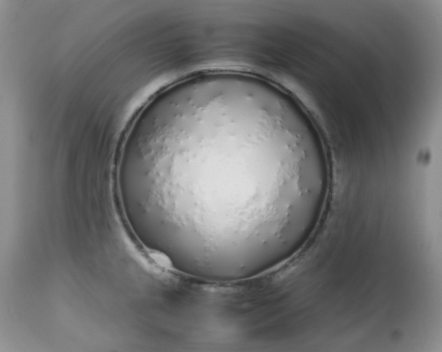 X0000112751237200909101532