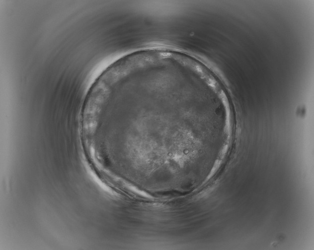 X0000112751239200909101532