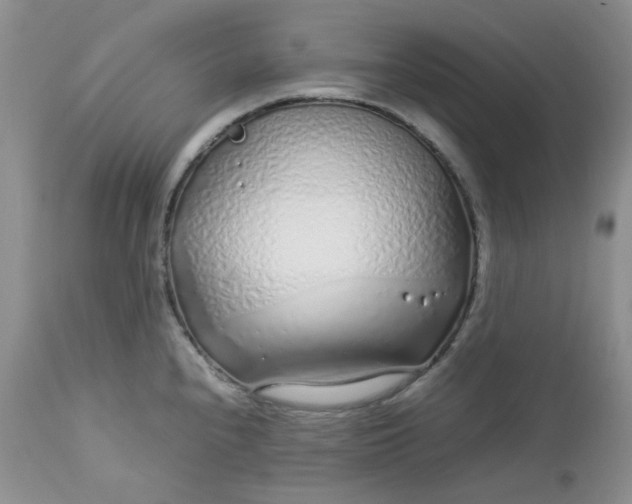 X0000112751240200909101532