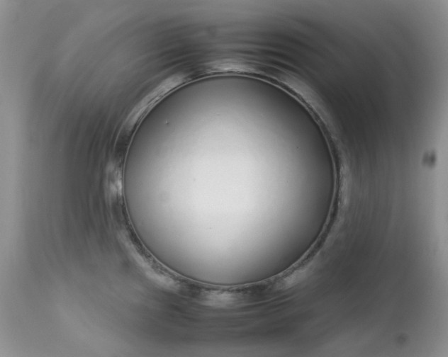 X0000112751241200909101532