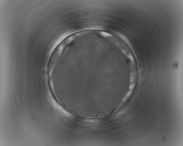 X0000112751243200909101532