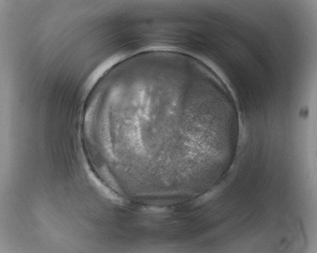 X0000112751245200909101532