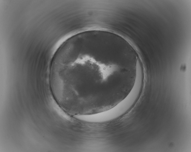 X0000112751246200909101532