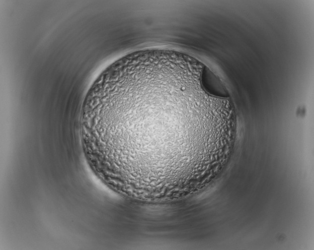 X0000112751247200909101532