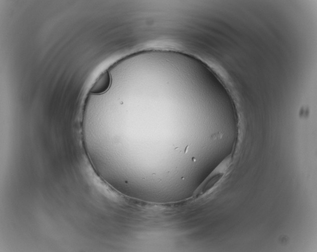 X0000112751248200909101532