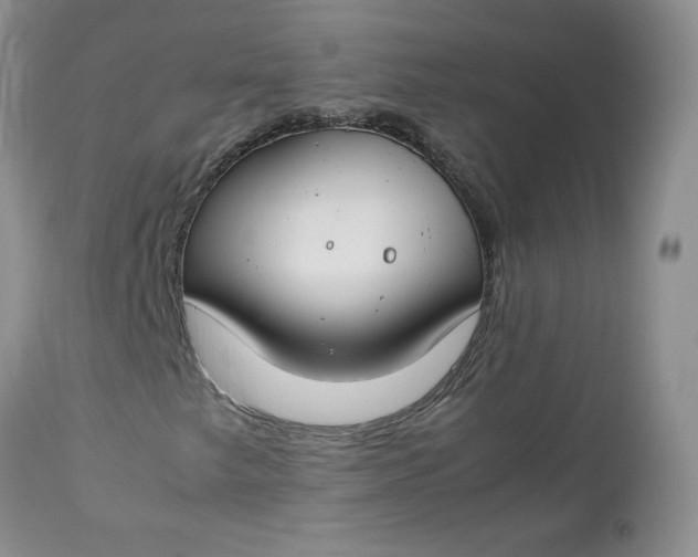 X0000112751249200909101531